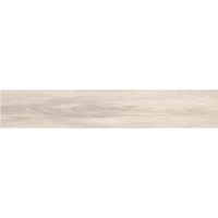 MOUNTAIN GRIS (MATT) 120х20 cm