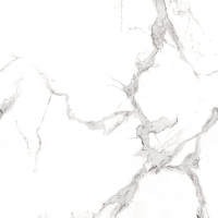 VENATO STATUARIO (POLISHED) 80х80 cm