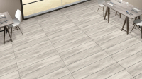 MOUNTAIN GRIS (MATT) 120х20 cm