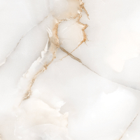 PEARL AMAZON (POLISHED) 60x60 cm  MARMI