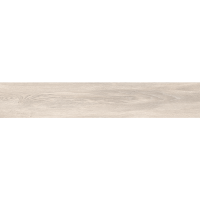 MOUNTAIN GRIS (MATT) 120х20 cm