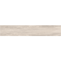 MOUNTAIN GRIS (MATT) 120х20 cm