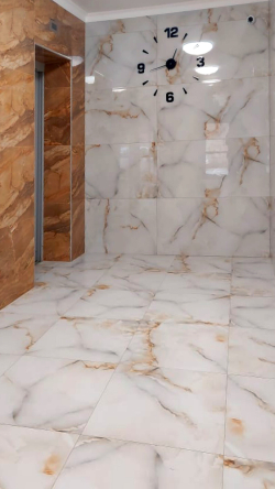 PEARL AMAZON (POLISHED) 60x60 cm  MARMI