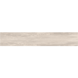 MOUNTAIN GRIS (MATT) 120х20 cm